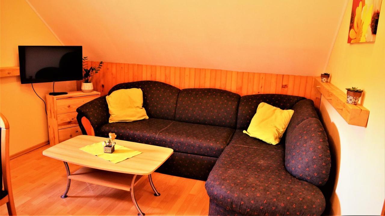 Apartment Rozika Slovenj Gradec Exterior photo