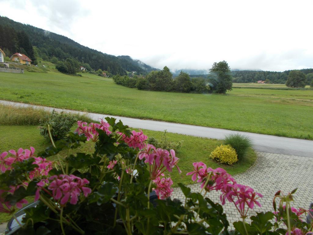 Apartment Rozika Slovenj Gradec Exterior photo