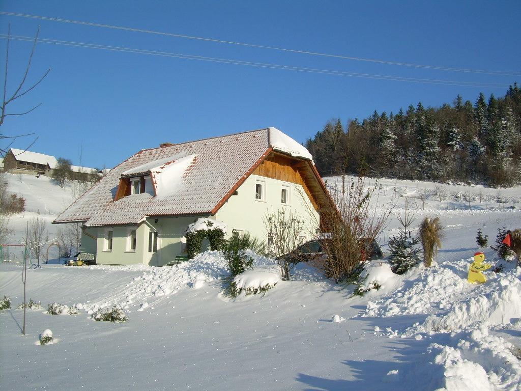 Apartment Rozika Slovenj Gradec Exterior photo