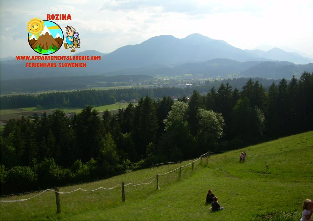 Apartment Rozika Slovenj Gradec Exterior photo