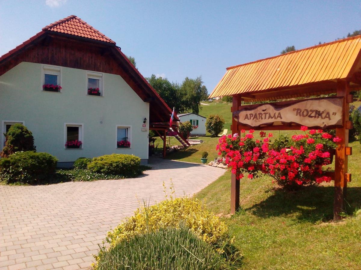 Apartment Rozika Slovenj Gradec Exterior photo
